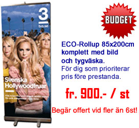Bild på en Eco rollups med Anna Anka